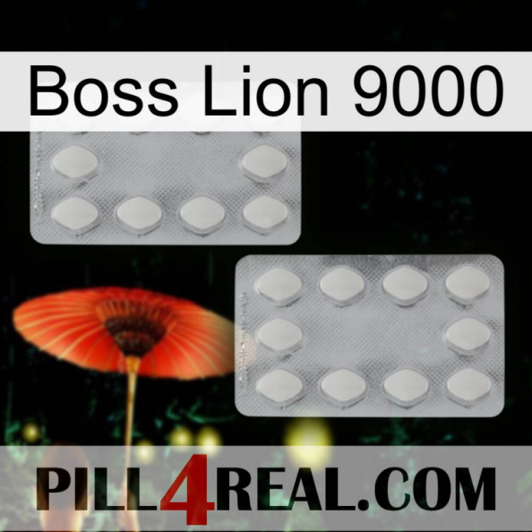 Boss Lion 9000 17.jpg